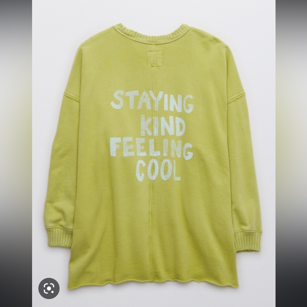 Aerie Down-To-Earth Oversized Sweatshirt (M)